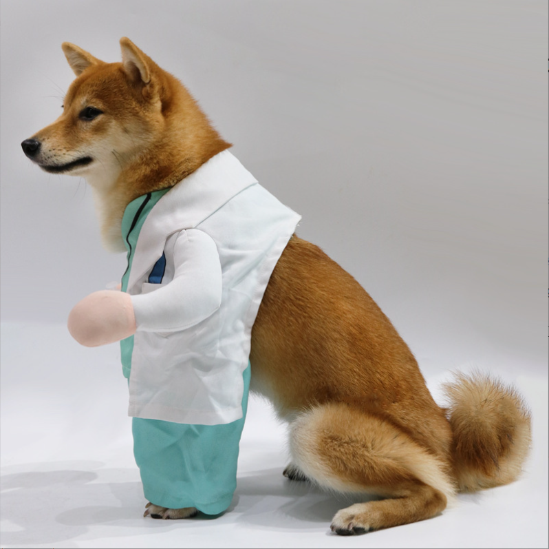 Pet Doctor Costume Veterinarian Scrubs with Lab Coat for Dogs